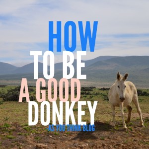 How to Be a Good Donkey