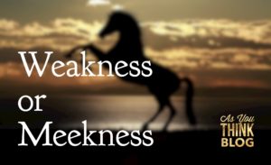 ayt-weakness-or-meekness